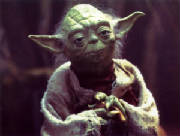 yoda.jpg